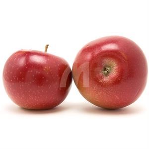 Macintosh Apple