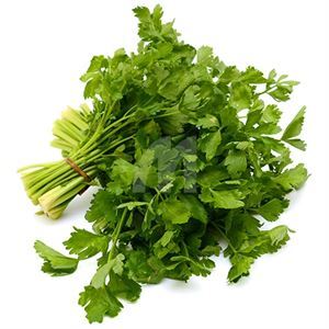 Parsley Plain