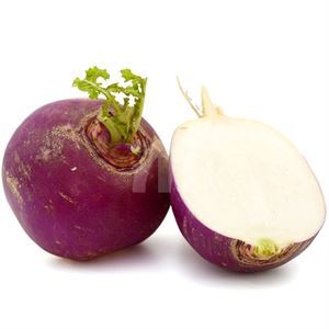 White Turnip