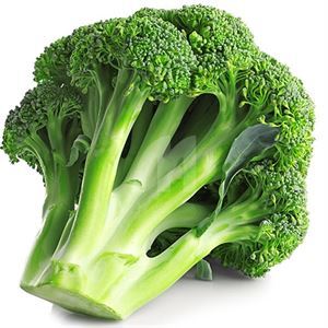 Broccoli Bunch