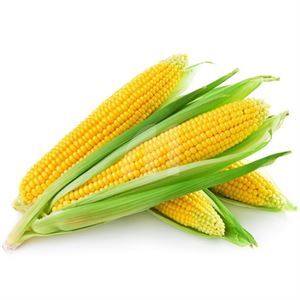 Corn