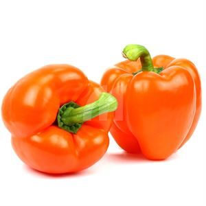 Orange Pepper