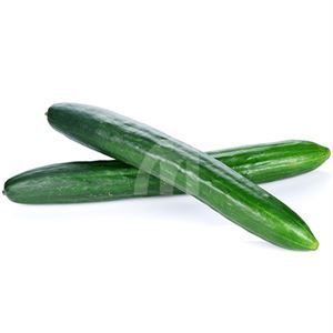 European / Israeli Cucumber