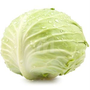 Cabbage Green