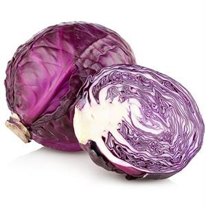 Cabbage Red