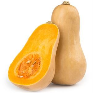 Squash Butternut