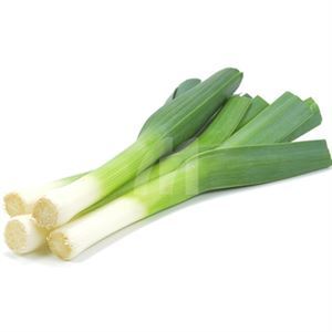 Leek