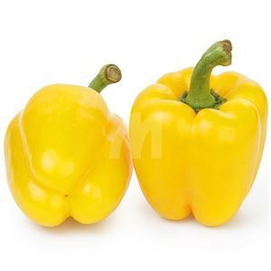 Yellow  Pepper