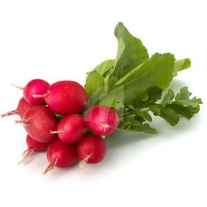Radish Bunch