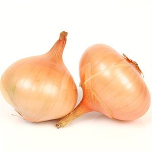 Vidalia Onions