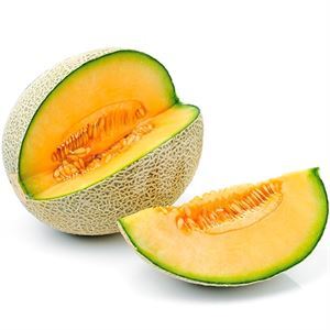 Cantaloupe Melon
