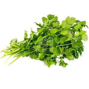 Cilantro