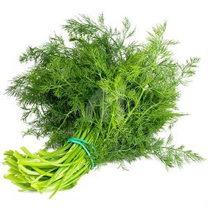 Fresh Dill