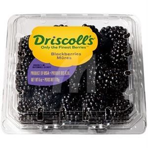 Driscolls Blackberries, 6 Oz