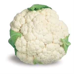 Ocean Mist Cauliflower