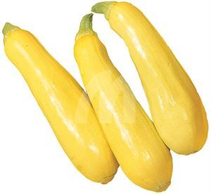 Yellow Squash