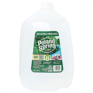 Poland Spring Water 1 Gal