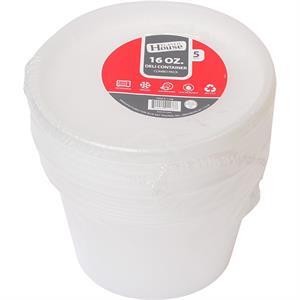 Plastic House Containers Combo Pk 16 Oz, 5 Ct