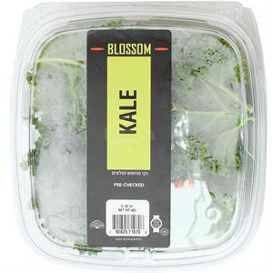 Blossom Ready To Eat Kale, 12 Oz