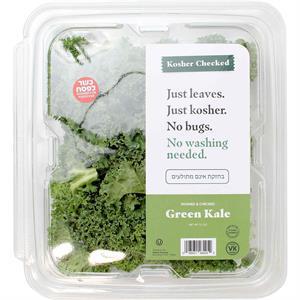 Kosher Checked Green Kale Checked