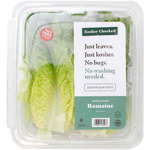 Kosher Checked Romaine Lettuce